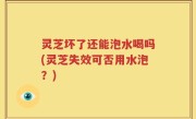 灵芝坏了还能泡水喝吗(灵芝失效可否用水泡？)