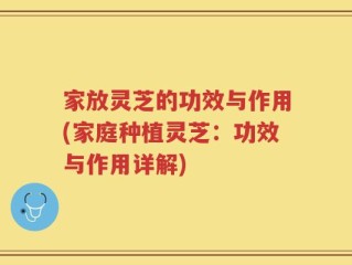 家放灵芝的功效与作用(家庭种植灵芝：功效与作用详解)