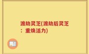 渡劫灵芝(渡劫后灵芝：重焕活力)