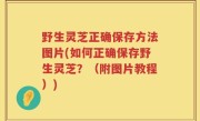 野生灵芝正确保存方法图片(如何正确保存野生灵芝？（附图片教程）)