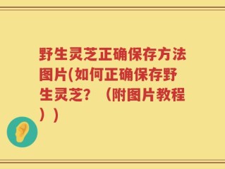 野生灵芝正确保存方法图片(如何正确保存野生灵芝？（附图片教程）)
