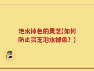 泡水掉色的灵芝(如何防止灵芝泡水掉色？)