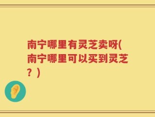 南宁哪里有灵芝卖呀(南宁哪里可以买到灵芝？)