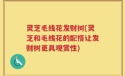 灵芝毛线花发财树(灵芝和毛线花的配搭让发财树更具观赏性)