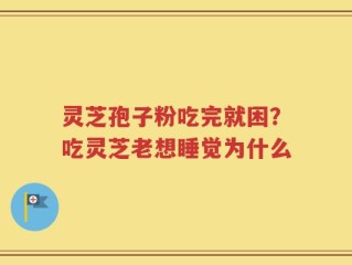 灵芝孢子粉吃完就困？吃灵芝老想睡觉为什么
