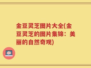 金豆灵芝图片大全(金豆灵芝的图片集锦：美丽的自然奇观)