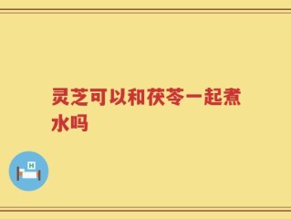灵芝可以和茯苓一起煮水吗