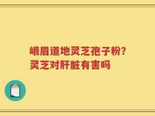 峨眉道地灵芝孢子粉？灵芝对肝脏有害吗