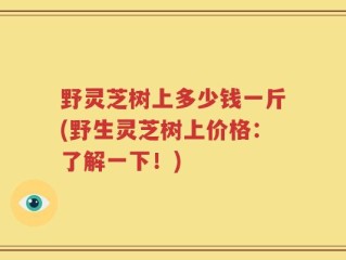 野灵芝树上多少钱一斤(野生灵芝树上价格：了解一下！)