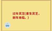 过年灵芝(重生灵芝，新年来临。)