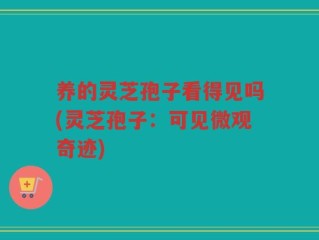 养的灵芝孢子看得见吗(灵芝孢子：可见微观奇迹)
