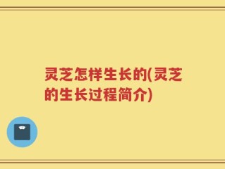 灵芝怎样生长的(灵芝的生长过程简介)