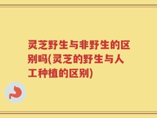 灵芝野生与非野生的区别吗(灵芝的野生与人工种植的区别)