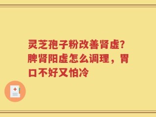 灵芝孢子粉改善肾虚？脾肾阳虚怎么调理，胃口不好又怕冷