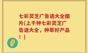 七彩灵芝广告语大全图片(上千种七彩灵芝广告语大全，种草好产品！)