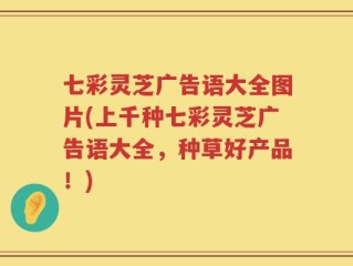 七彩灵芝广告语大全图片(上千种七彩灵芝广告语大全，种草好产品！)