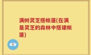 满树灵芝搭帐篷(在满是灵芝的森林中搭建帐篷)