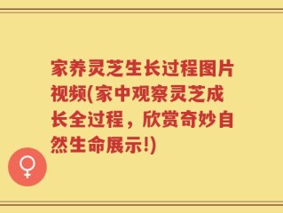 家养灵芝生长过程图片视频(家中观察灵芝成长全过程，欣赏奇妙自然生命展示!)
