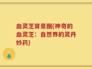 血灵芝背景图(神奇的血灵芝：自然界的灵丹妙药)