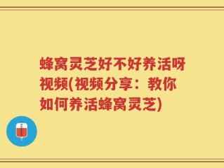 蜂窝灵芝好不好养活呀视频(视频分享：教你如何养活蜂窝灵芝)