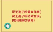 灵芝孢子粉最大作用(灵芝孢子粉功效全面,提升健康抗疲劳)