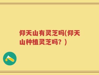 仰天山有灵芝吗(仰天山种植灵芝吗？)
