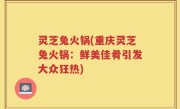 灵芝兔火锅(重庆灵芝兔火锅：鲜美佳肴引发大众狂热)