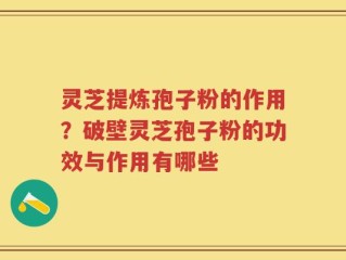 灵芝提炼孢子粉的作用？破壁灵芝孢子粉的功效与作用有哪些
