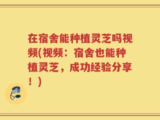 在宿舍能种植灵芝吗视频(视频：宿舍也能种植灵芝，成功经验分享！)