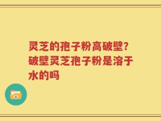 灵芝的孢子粉高破壁？破壁灵芝孢子粉是溶于水的吗