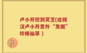 卢小开挖到灵芝(庄稼汉卢小开意外“发掘”珍稀仙草 )