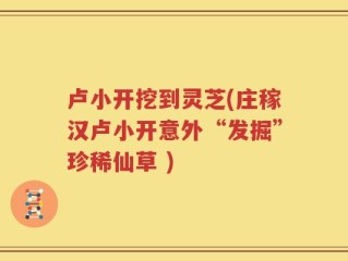 卢小开挖到灵芝(庄稼汉卢小开意外“发掘”珍稀仙草 )