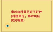 秦岭山种灵芝好不好种(种植灵芝，秦岭山区优势明显)