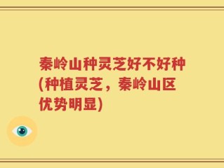 秦岭山种灵芝好不好种(种植灵芝，秦岭山区优势明显)