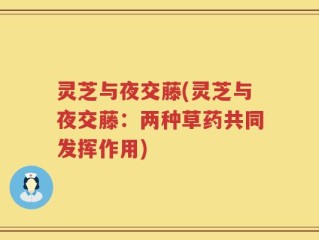 灵芝与夜交藤(灵芝与夜交藤：两种草药共同发挥作用)