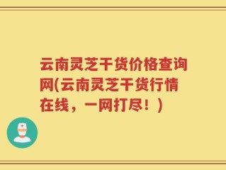 云南灵芝干货价格查询网(云南灵芝干货行情在线，一网打尽！)