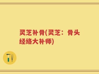 灵芝补骨(灵芝：骨头经络大补师)