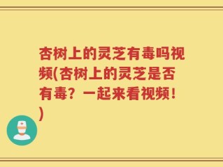 杏树上的灵芝有毒吗视频(杏树上的灵芝是否有毒？一起来看视频！)