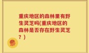 重庆地区的森林里有野生灵芝吗(重庆地区的森林是否存在野生灵芝？)