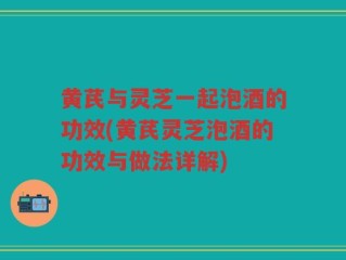 黄芪与灵芝一起泡酒的功效(黄芪灵芝泡酒的功效与做法详解)