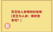 灵芝和人参哪种好些呢(灵芝与人参：哪种更有效？)