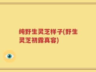 纯野生灵芝样子(野生灵芝初露真容)