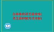 在哪里找灵芝菌种植(灵芝菌种植方法详解)