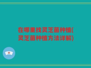 在哪里找灵芝菌种植(灵芝菌种植方法详解)
