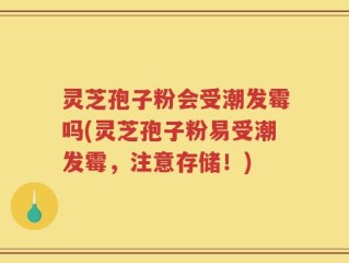 灵芝孢子粉会受潮发霉吗(灵芝孢子粉易受潮发霉，注意存储！)