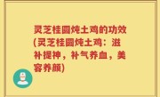 灵芝桂圆炖土鸡的功效(灵芝桂圆炖土鸡：滋补提神，补气养血，美容养颜)