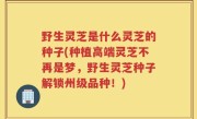 野生灵芝是什么灵芝的种子(种植高端灵芝不再是梦，野生灵芝种子解锁州级品种！)