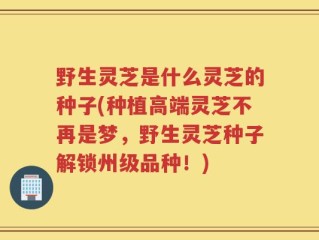 野生灵芝是什么灵芝的种子(种植高端灵芝不再是梦，野生灵芝种子解锁州级品种！)