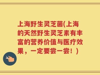 上海野生灵芝菌(上海的天然野生灵芝素有丰富的营养价值与医疗效果，一定要尝一尝！)