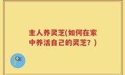主人养灵芝(如何在家中养活自己的灵芝？)